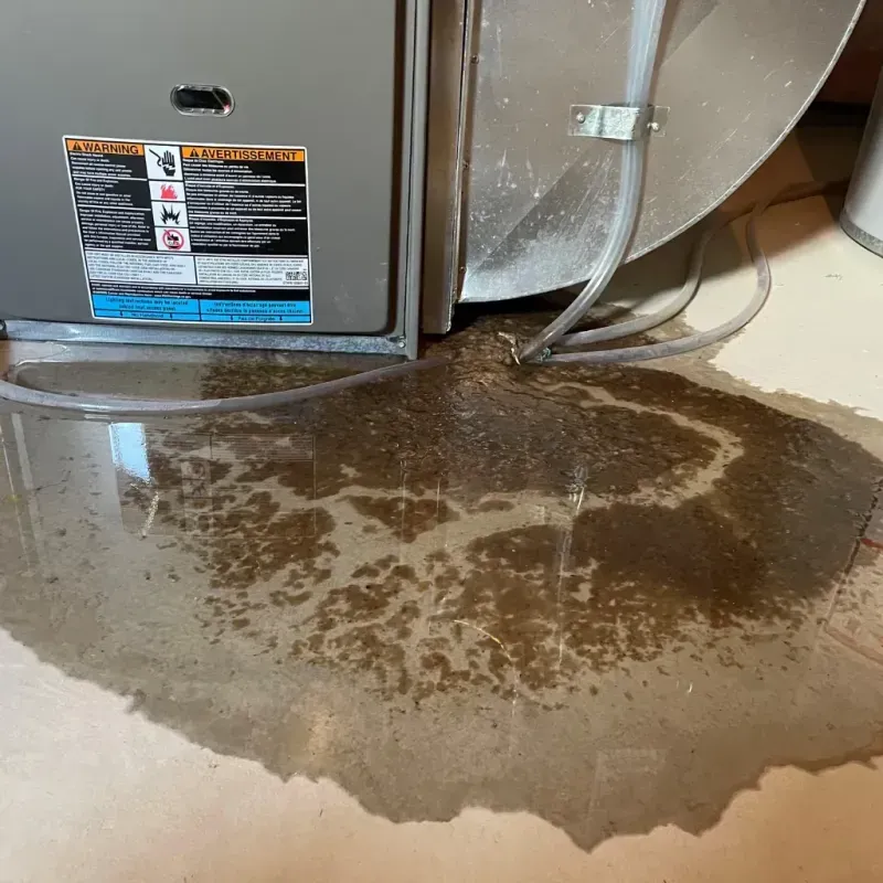 Appliance Leak Cleanup in Ault, CO